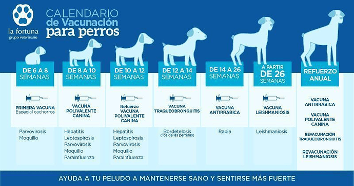 perros