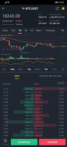 Screenshot_20201210_132315_com.binance.dev