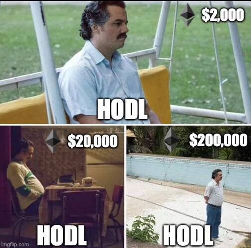 HODL__00