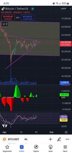 Screenshot_20240822-060506_TradingView