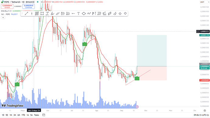 pepe-usdt_091053