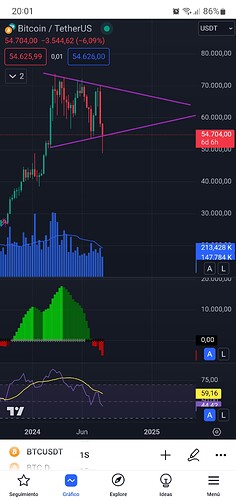 Screenshot_20240805-200122_TradingView