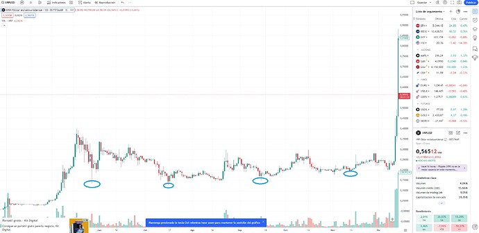 xrp 2017