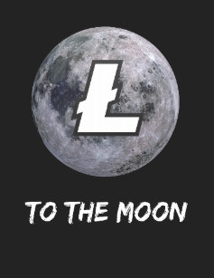 polo_litecoin_a_la_luna_en_fondo_negro-r2096d763442f4fe1ae3cb305bb539cdc_k2gmf_307