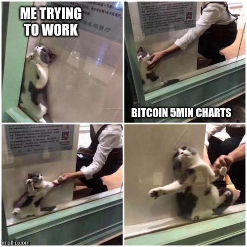 btc-trying