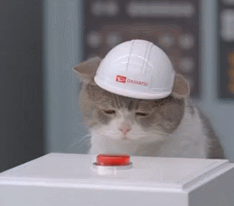 cat-wearing-helmet-pressing-red-button-science-13977774880